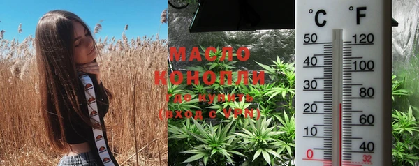 ешки Каменка