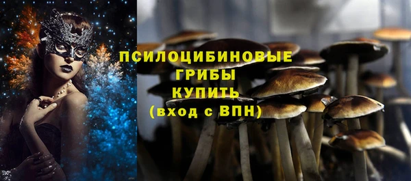 дмт Каменск-Шахтинский